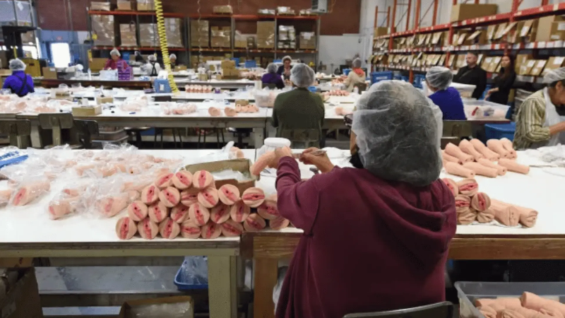 Infographic showing 15 key questions to ask when evaluating an adult toy supplier before sending an RFQ Infographic showing 15 key questions to ask when evaluating an adult toy supplier before sending an RFQ